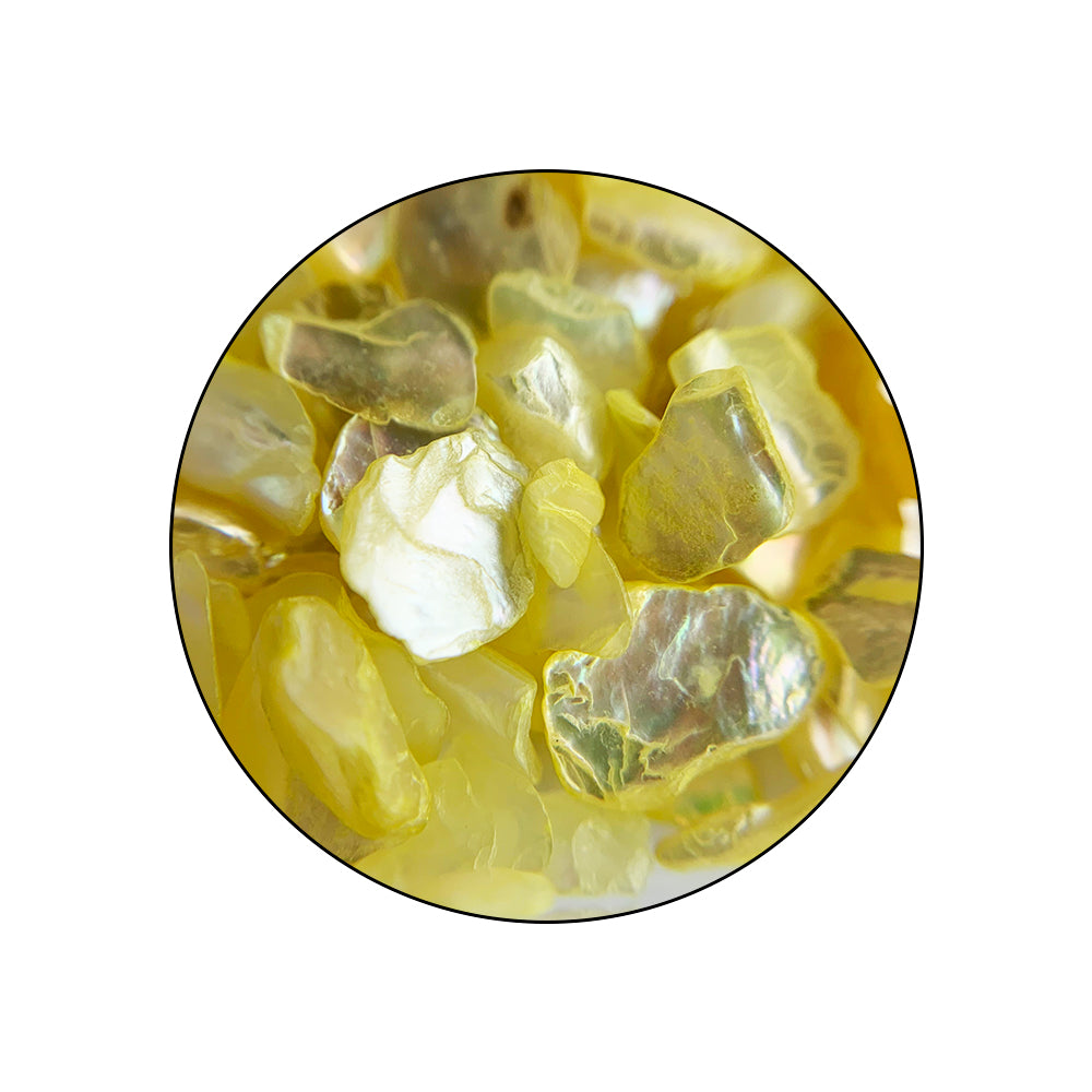 COLORFULLSHELL_pormenor_02