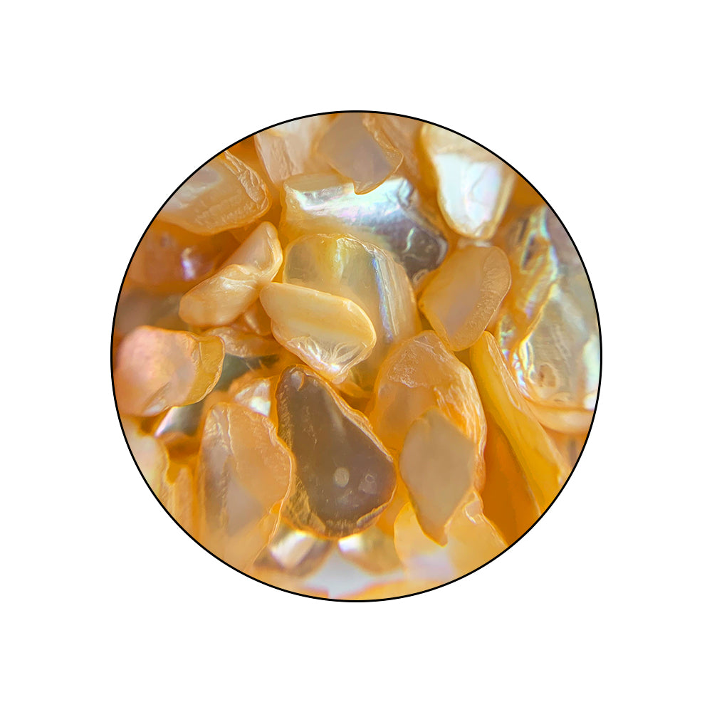 COLORFULLSHELL_pormenor_03