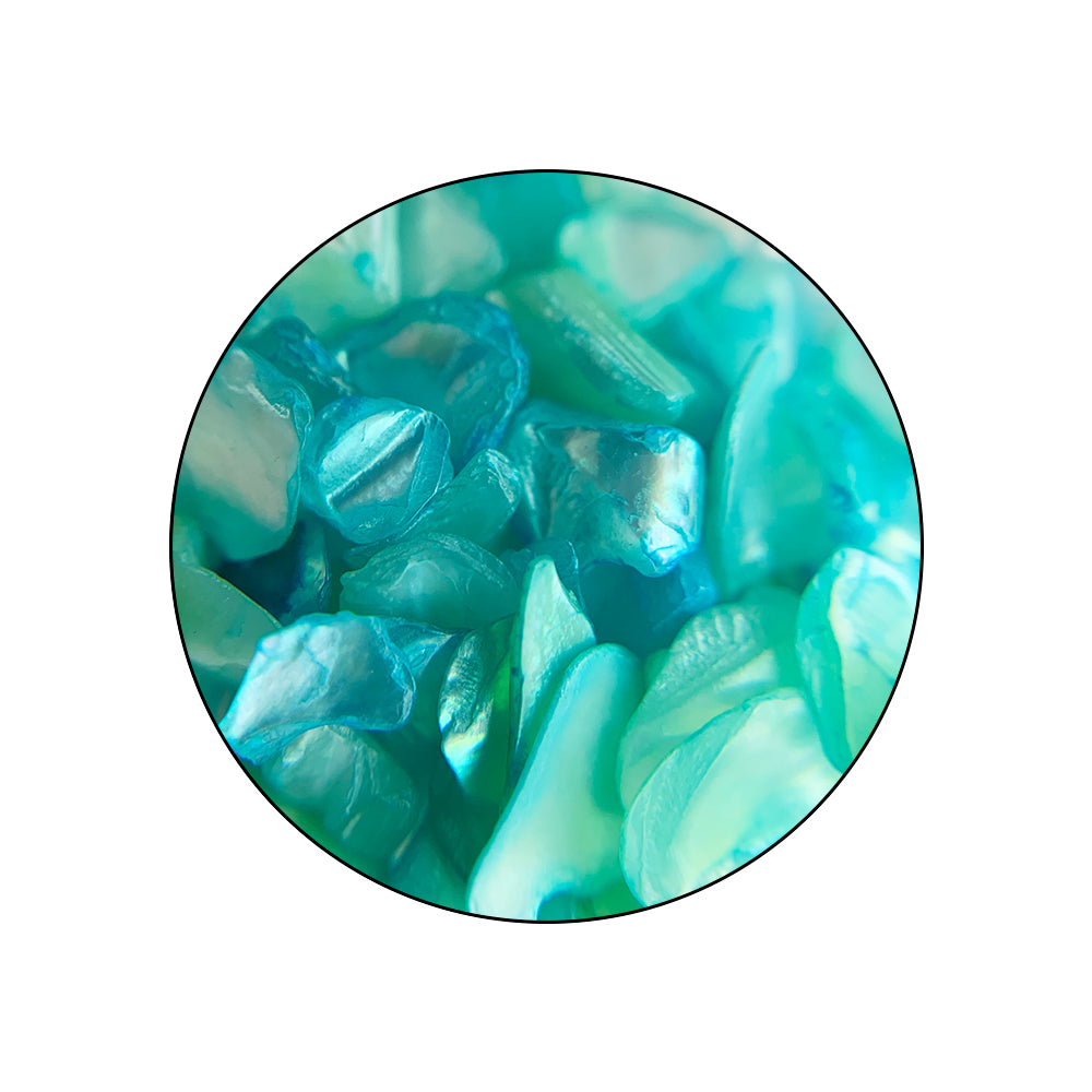 COLORFULLSHELL_pormenor_04