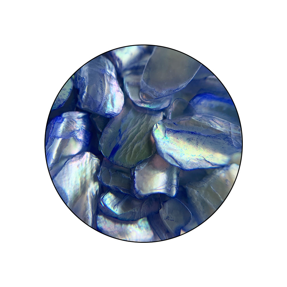 COLORFULLSHELL_pormenor_05
