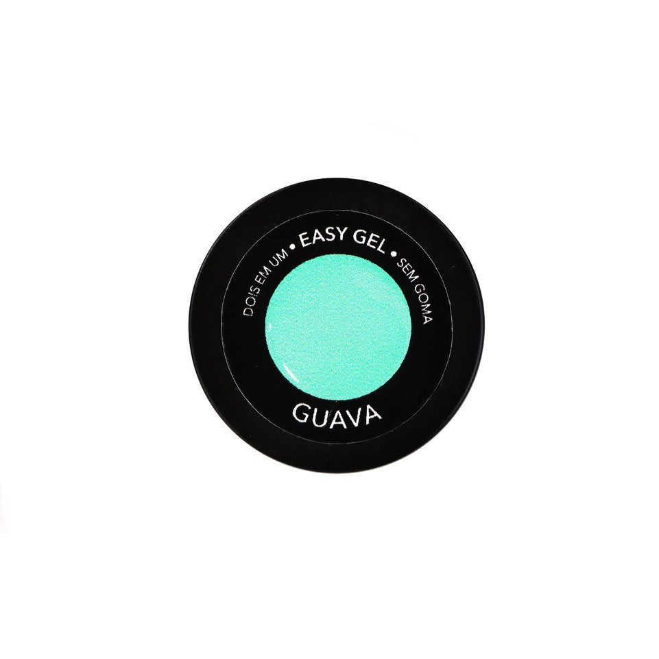 Easy Smoothie Guava 2