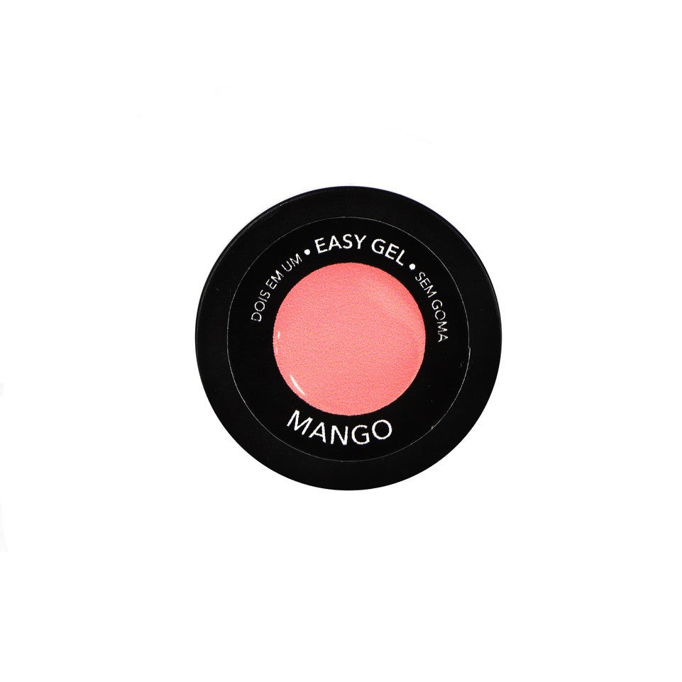 Easy Smoothie Mango 3