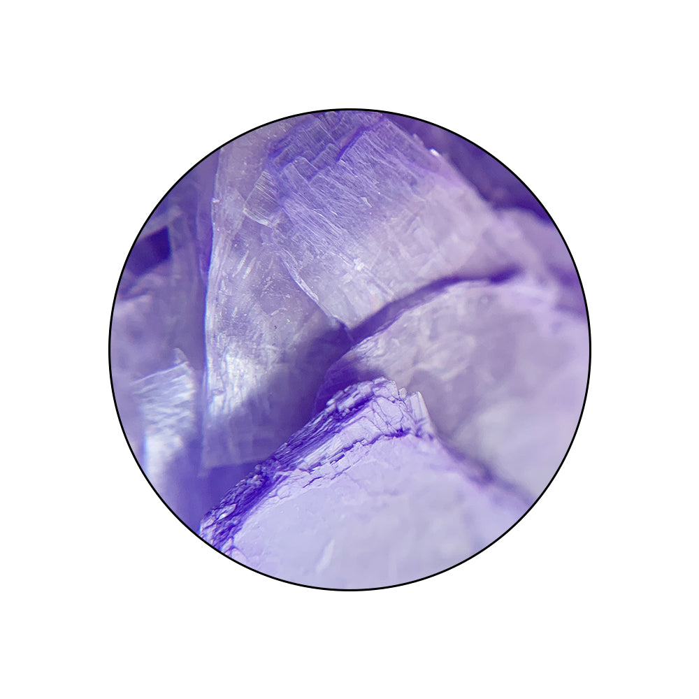 PEARLSHELL_pormenor02