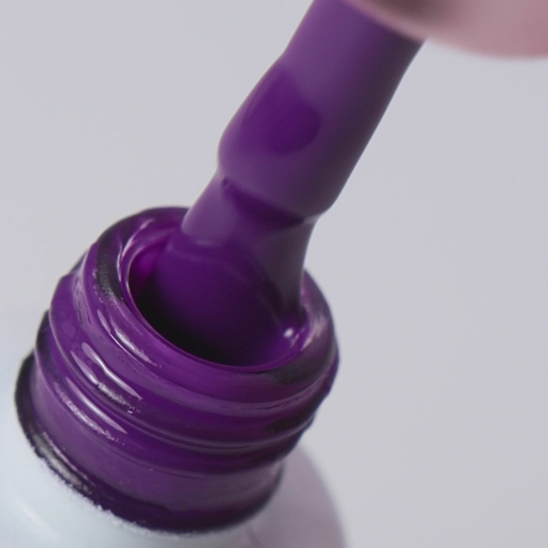 Express Epic Femme Shades