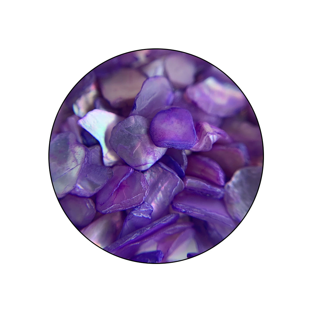 COLORFULLSHELL_pormenor_01