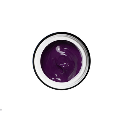 Designer Paint Grape 5ml