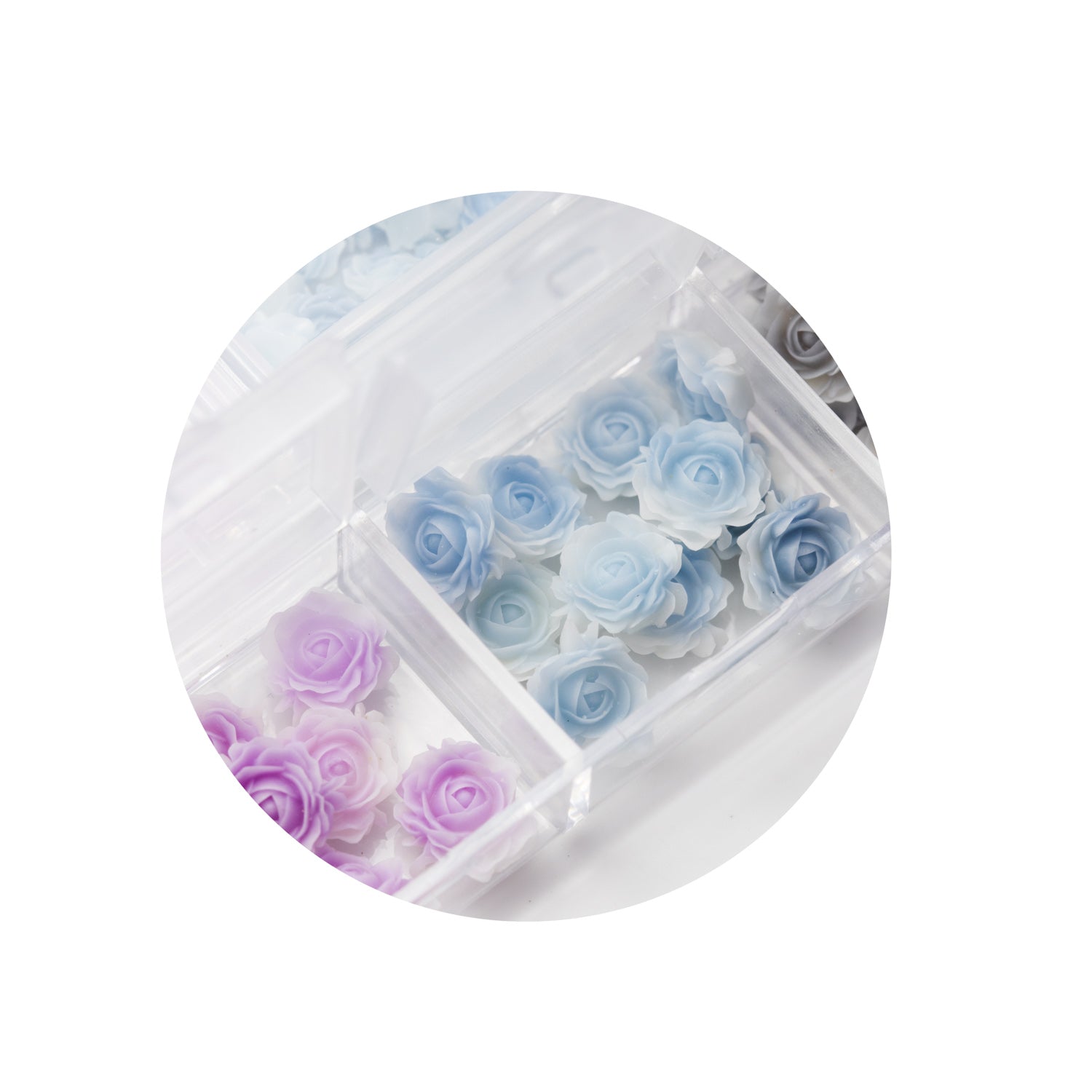 Mini Set Ombre Rose 3D