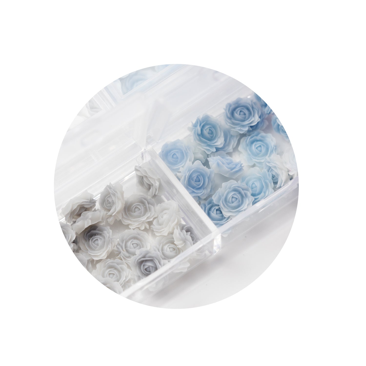 Mini Set Ombre Rose 3D