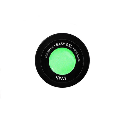 Easy Smoothie Kiwi 3