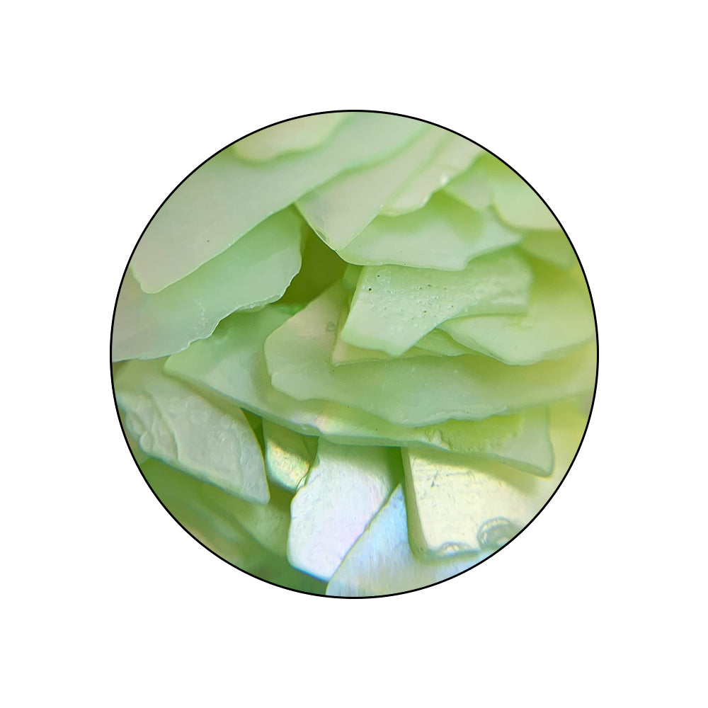 PASTELSHELL_pormenor02