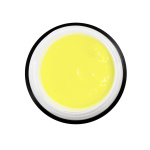 Designer Paint Lemon