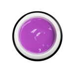 Designer Paint Lilac